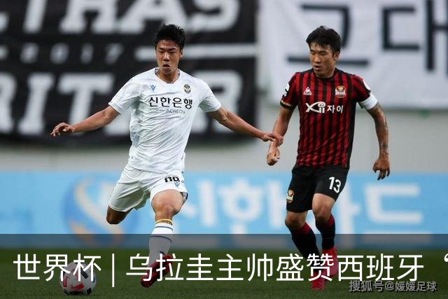 世界杯 | 乌拉圭主帅盛赞西班牙“精致足球”